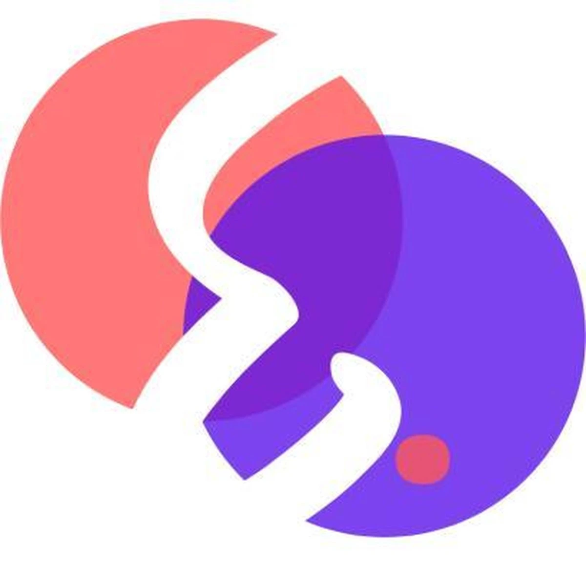 Elevate Gravity Heavy Jump Rope (WIT) Springtouw - Verzwaard Springtouw - Muay Thai Springtouw - Jump Rope Voor Boxers & Martial Artists - Afbeelding 2