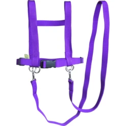 Helga Kreft Zügelmatz Paardenspeellijn, Paars