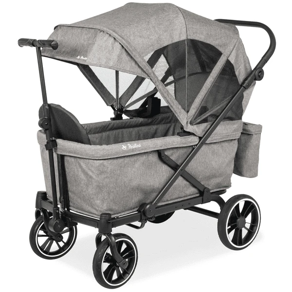 Pinolino Cruiser PI 500 Opvouwbare Bolderkar